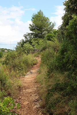 C19661 22-07-2014 Nečujam.jpg